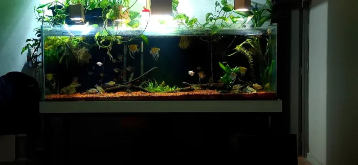 Aquário 300 litros 150x40x50 com overflow box acrílico e sump 50x35x30 e base em metalon