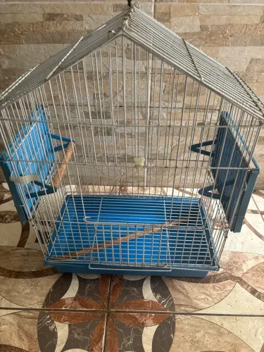 Gaiola para calopsitas com comedouro e bebedouro 