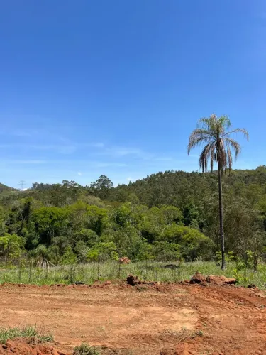 Terrenos 600m²  R$50mil à Vista! Últimos Dias da Promoção!