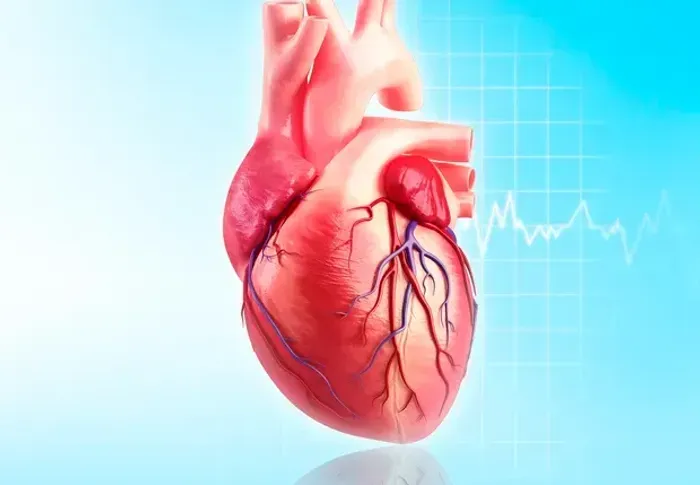 EXAMES CARDIOLOGICOS