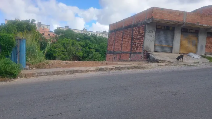 Terreno. 10. De frente 30 de fundo