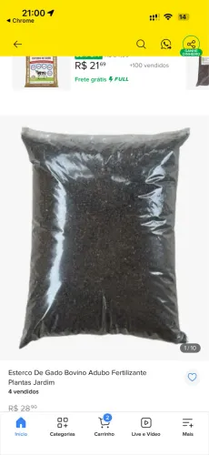 Esterco de galinha