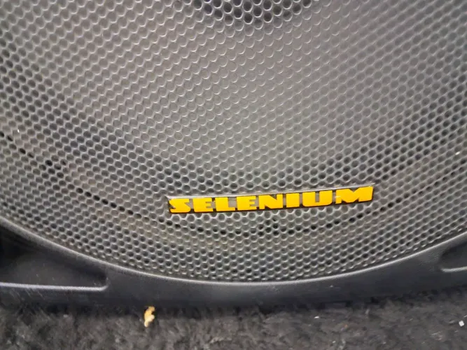 Caixa de som Selenium 15"