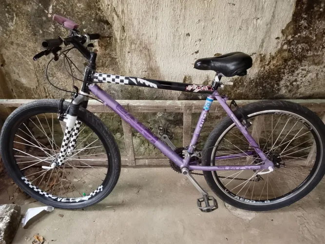 BICICLETA 