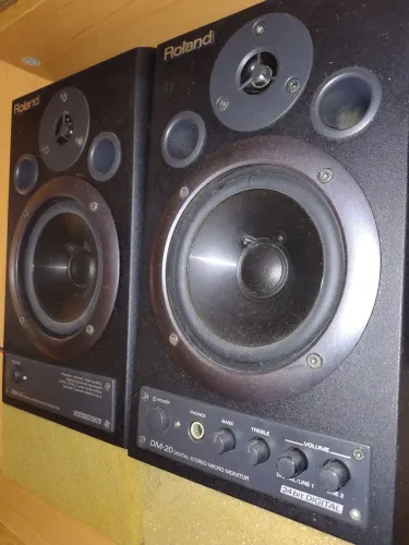 Monitores de referência Roland dm 20