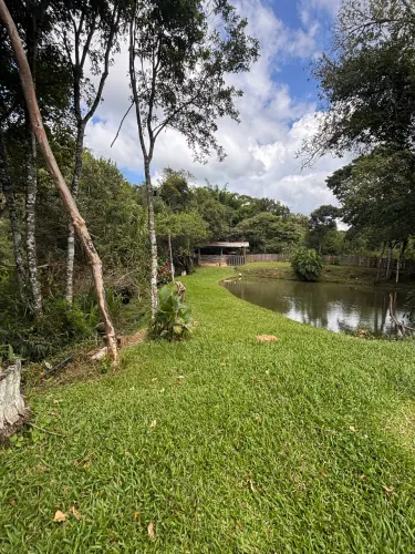Vendo sítio em ouro Fino MG 