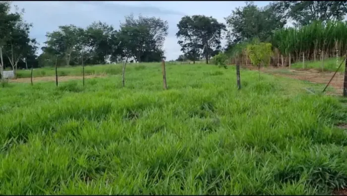 Chacara a venda em Itaberai por 250 mil, bem formada, casa sede, com 3 hectares,  excelent