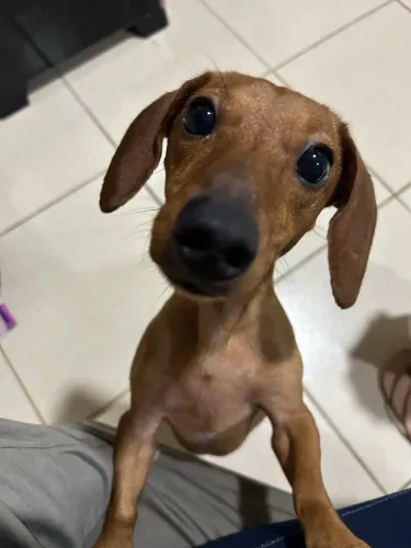 Doação 