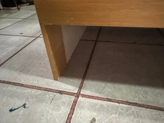Cama infantil com auxiliar em madeira com colchão de brinde