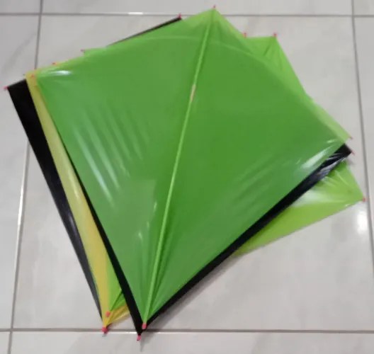 Peixão 62cm, Pipa,Papagaio,Raias.