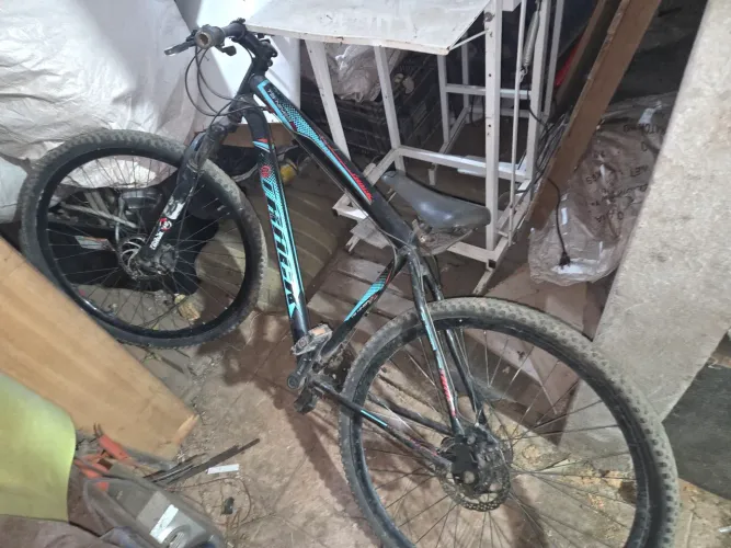 Bife aro 29