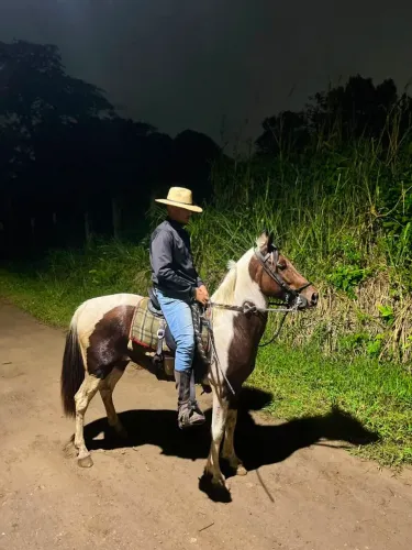 Pampa de castanho