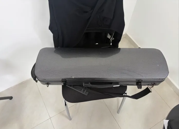 Case de violino 