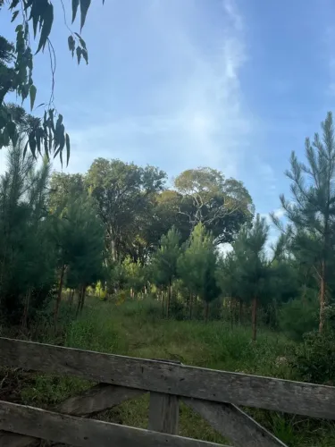 Sítio de 3 Alqueires em Jaguariaíva/PR - Bairro Bonsucesso