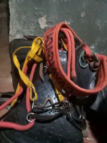 Sela completa brindes cabeçada manta e peitoral