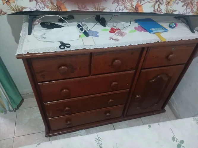 Domestico