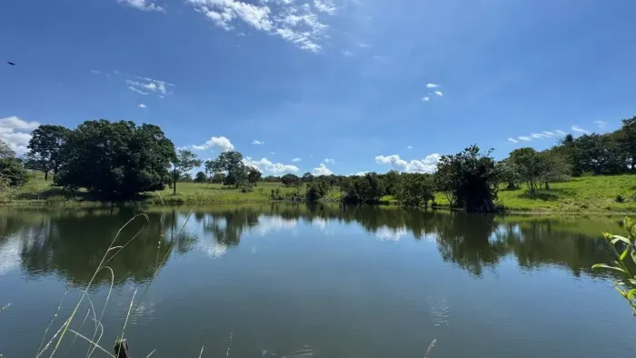 Fazenda em Goias Velho - 33.5 Alqueires