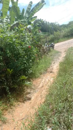 Sítio área verde
