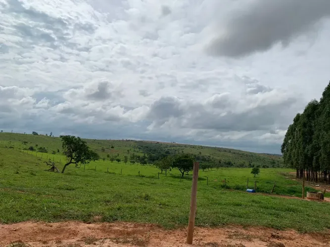 Fazendinha em Dores do Indaiá Ótima topografia 33 hectares ótimo volume de 'água