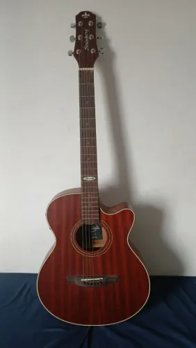 Vendo Violão Steinberg