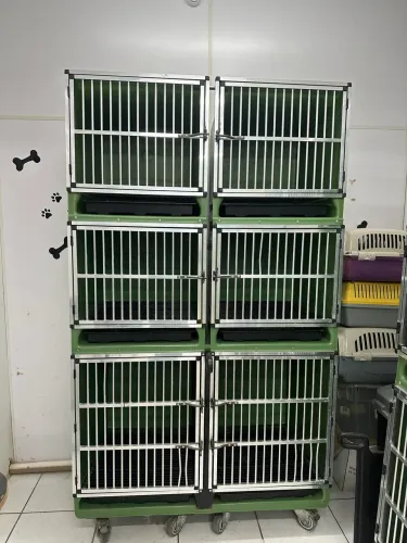 Baias/gaiolas para pet banho e tosa