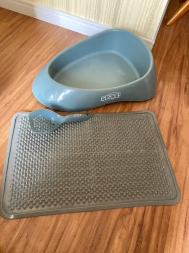 Kit Completo Para O Seu Gato (Caixa De Areia, Tapete, e Pá Higiênica)
