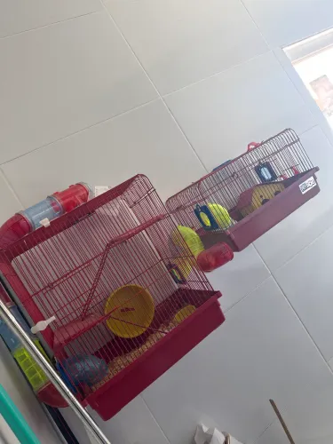 Casinha de hamster