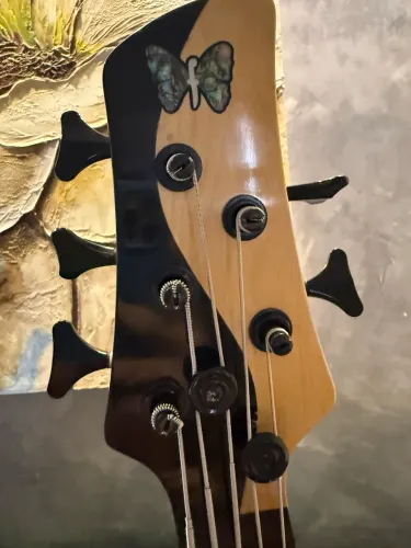 Baixo elétrico 5 cordas