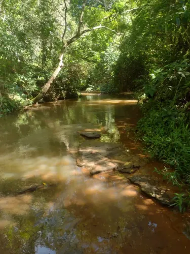Chácara exclusiva repleta de água em Aragoiânia (direto com o proprietário)