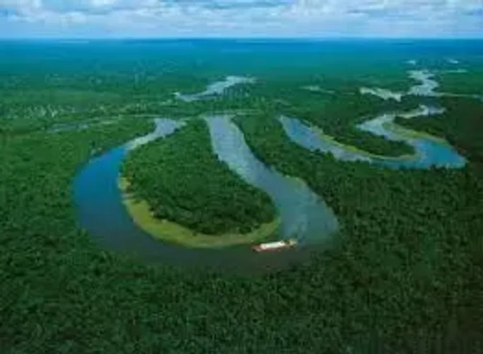 AMAZONAS: Fazenda a venda de 450 mil hectares, com a documentação completa