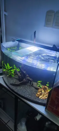 Aquário 70L