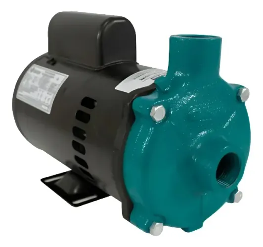 Bomba centrifuga 1cv ( Eletroplas )