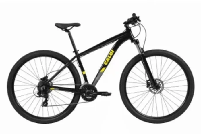 Bicicleta Caloi Aro 29 