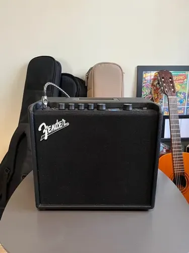 FENDER LT 25
