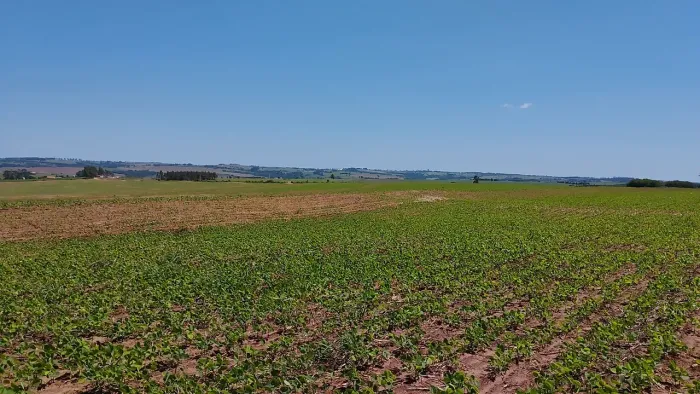 Lote de 20.000m2 Gleba Esperança ,topografia plana ,rede trifasica próxima , R$ 200.000,00