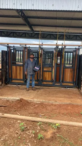 TRONCO DE CONTENÇÃO BOVINO C/ BALANÇA ELETRÔNICA (GADO)