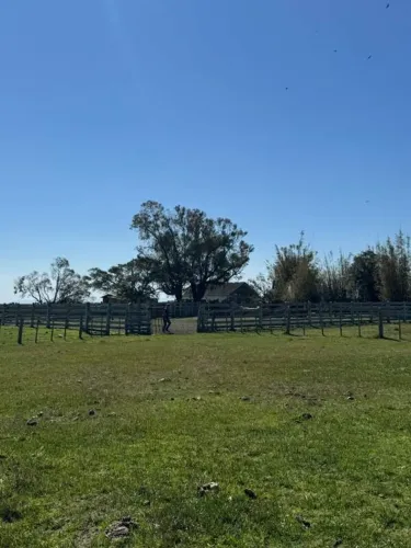 Fazenda à venda, Boa Vista (Capão da Porteira) - Viamão/RS