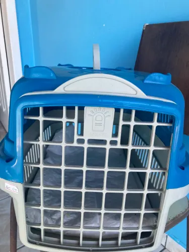 Caixa transporte azul