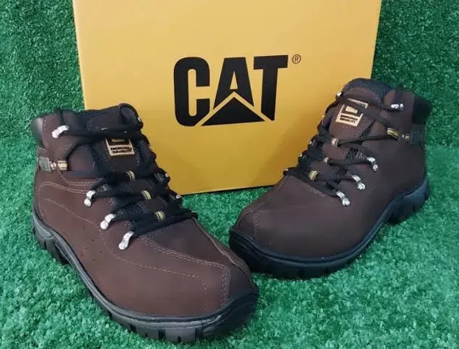 Bota cat