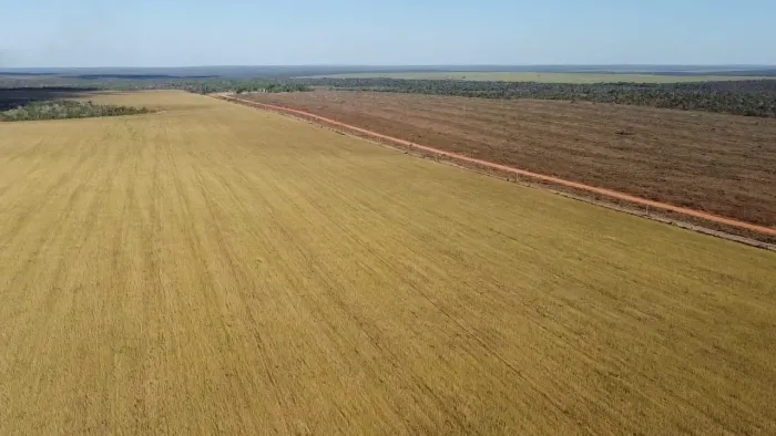 Fazenda 2.892hec no TO. Pega ouro e Diamantes Bancarizado... 400 milhões.