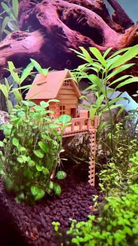 Mini Casa na Árvore com Escada para Aquário ou Vasos de Plantas
