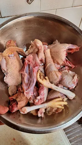 Frango Limpo 