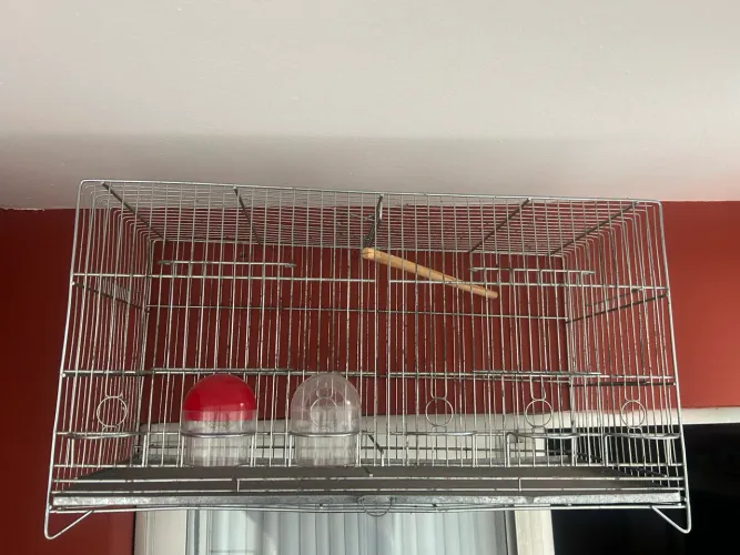 Gaiola para pássaro 