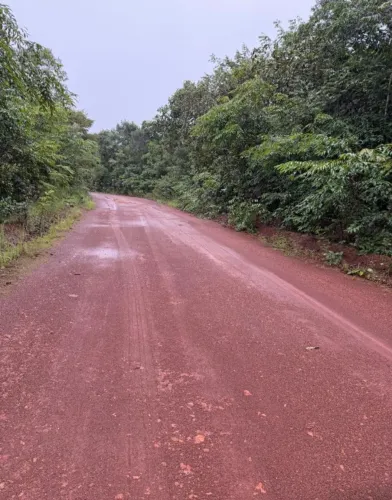 FAZENDA P/ SOJA OU GADO, PLANA 258 ALQUEIRES - SEMI BRUTA - TOCANTINS R$ 14.500.000,00