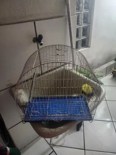 Vendo gaiola grande