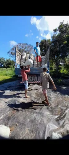 É PRA ACABAR OS 120 SACOS A 12 REAIS SILO BRS CAPIAÇU