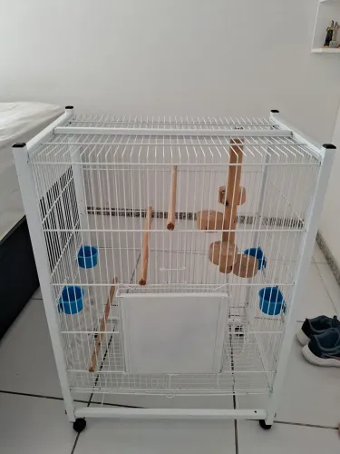 GAIOLA DE PÁSSAROS $ 200
