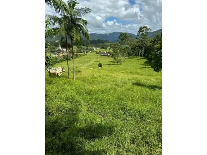 Terreno RIO DOS CEDROS - SC