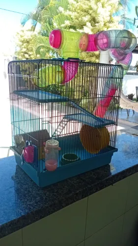 Gaiola para Hamster 