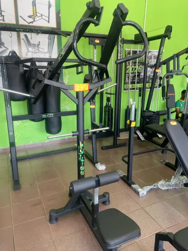 Puxada Alta Articulada 80kg